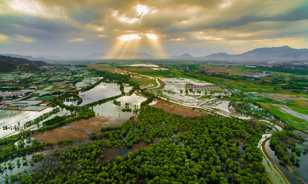 共进十一载协同创新局——京津冀协同发展11周年回望(图7)