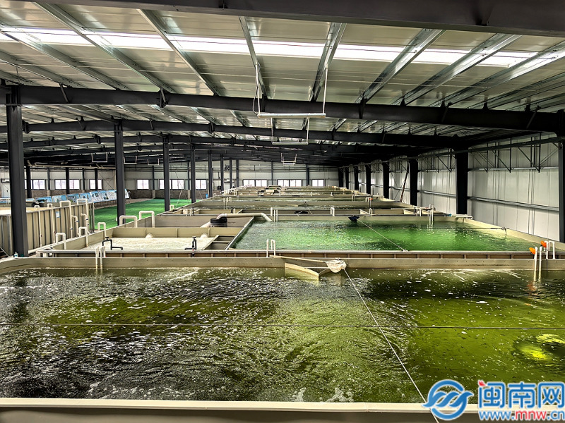 漳州长泰：生态循环养殖激活乡村振兴“一池春水”(图3)
