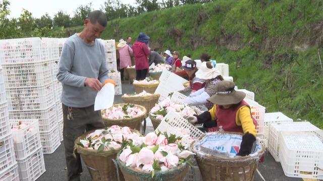 “组团培育副中心喜看南达新气象”主题采访活动走进西充(图4)