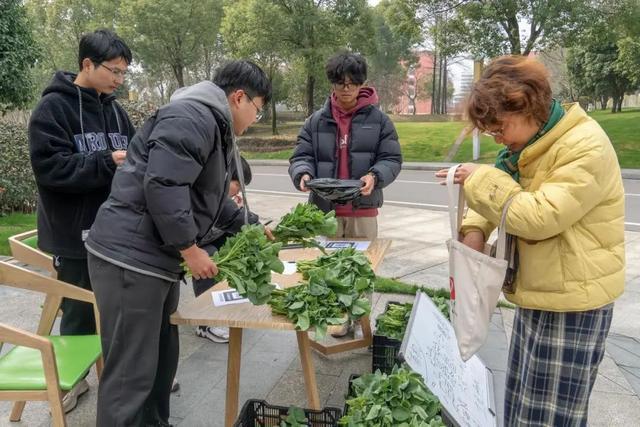 浙江一大学花坛种菜学生摆摊瞬间抢空：好看又好吃(图3)