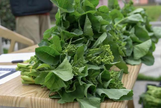 浙江一大学花坛种菜学生摆摊瞬间抢空：好看又好吃(图2)