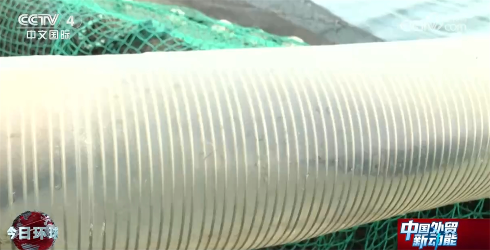 国内国外“双开花”探秘高原三文鱼畅“游”世界背后的智慧密码(图3)