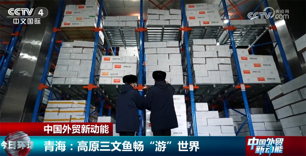 国内国外“双开花”探秘高原三文鱼畅“游”世界背后的智慧密码(图5)