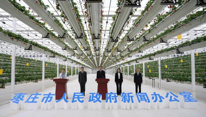 枣庄：一场大棚里的新闻发布会(图1)