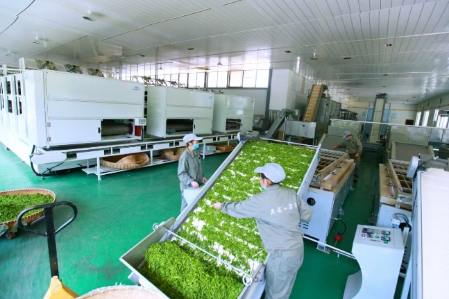 创新“四个一批”模式打造脱贫地区帮扶产业高质量发展样板丨高质量发展看广元改革(图2)