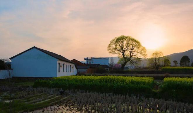 文旅振兴不了乡村（下篇）(图5)