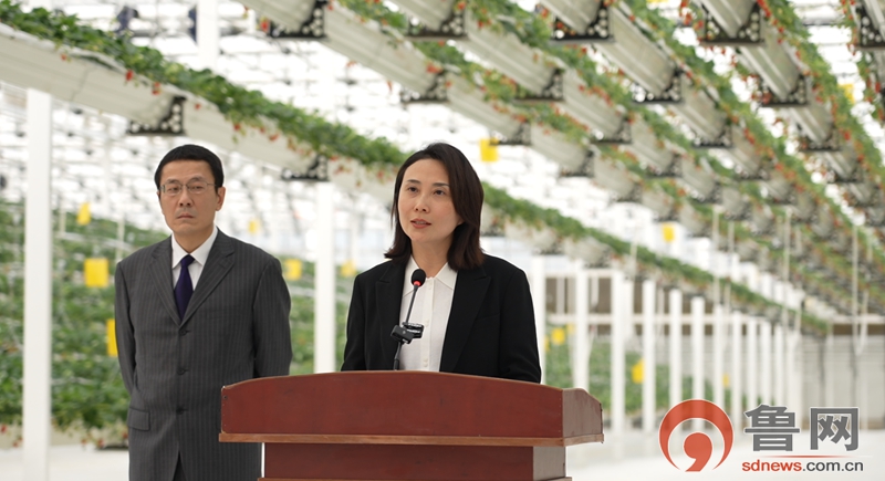 枣庄多部门协同发力为设施农业发展保驾护航(图1)