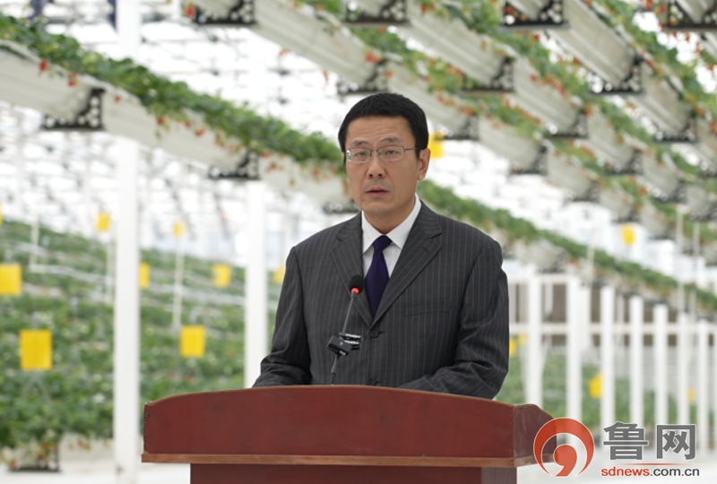 枣庄多部门协同发力为设施农业发展保驾护航(图2)