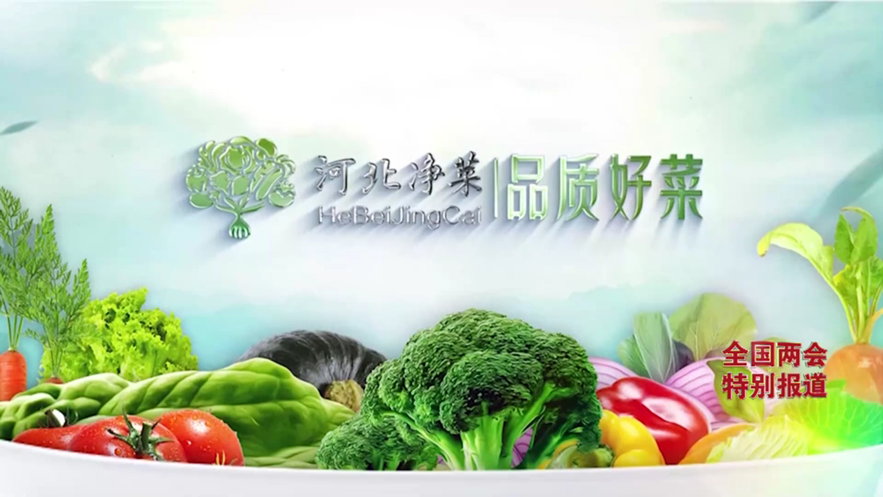 《经济新观察・全国两会特别报道》②丨占比第一蔬菜供应北京市场份额四成多河北为啥行?(图1)