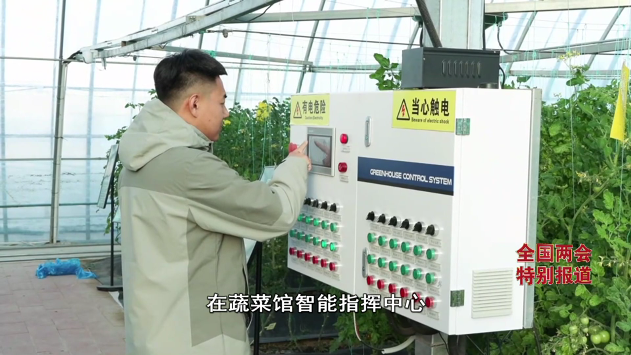 《经济新观察・全国两会特别报道》②丨占比第一蔬菜供应北京市场份额四成多河北为啥行?(图4)