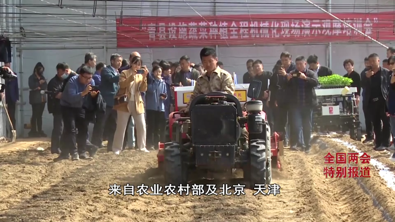 《经济新观察・全国两会特别报道》②丨占比第一蔬菜供应北京市场份额四成多河北为啥行?(图5)