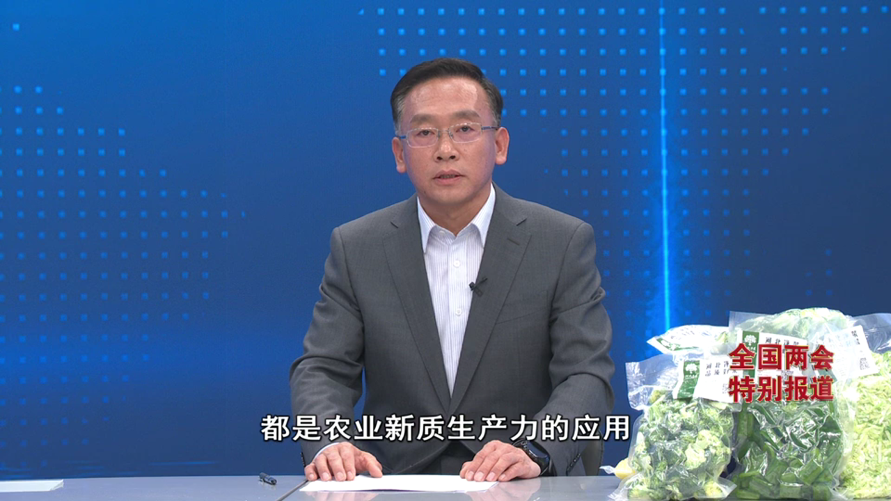 《经济新观察・全国两会特别报道》②丨占比第一蔬菜供应北京市场份额四成多河北为啥行?(图6)