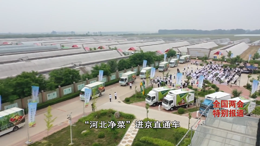《经济新观察・全国两会特别报道》②丨占比第一蔬菜供应北京市场份额四成多河北为啥行?(图10)