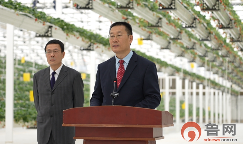 枣庄市设施农业蓬勃发展助力农产品稳产保供(图1)