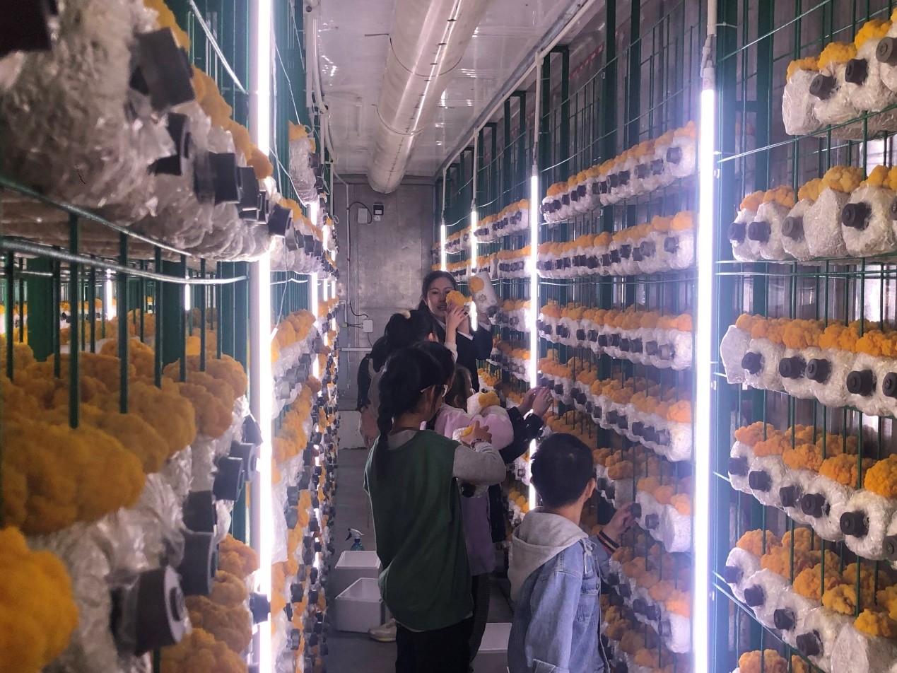 济南市历城区彩石街道玉河泉村入选乡村旅游省级优秀案例(图3)