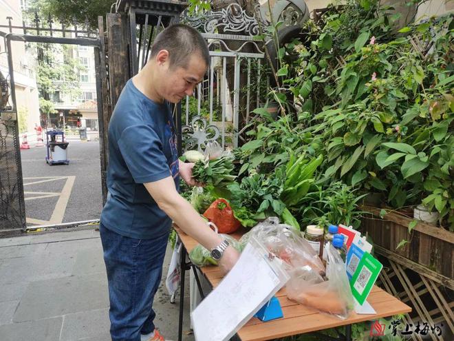 梅州惊现自助小菜摊？蔬菜明码标价现场无人看守(图1)