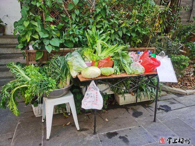 梅州惊现自助小菜摊？蔬菜明码标价现场无人看守(图3)