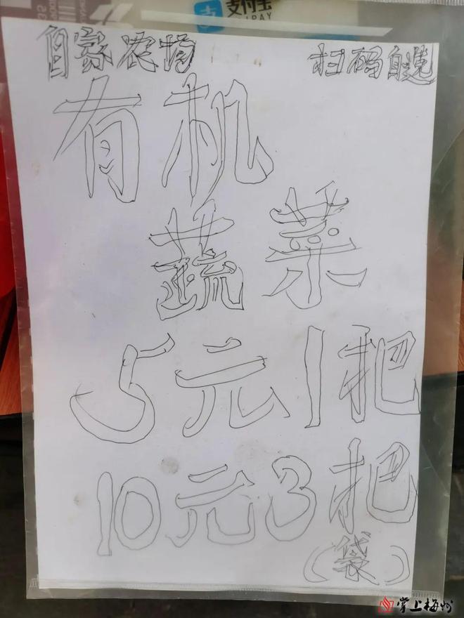 梅州惊现自助小菜摊？蔬菜明码标价现场无人看守(图2)