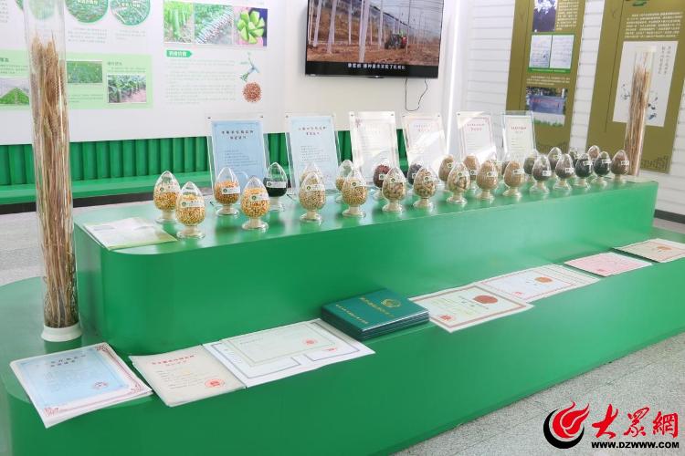奋进潍坊·开新局丨“种”下希望潍坊市农科院激活农业发展新引擎(图1)