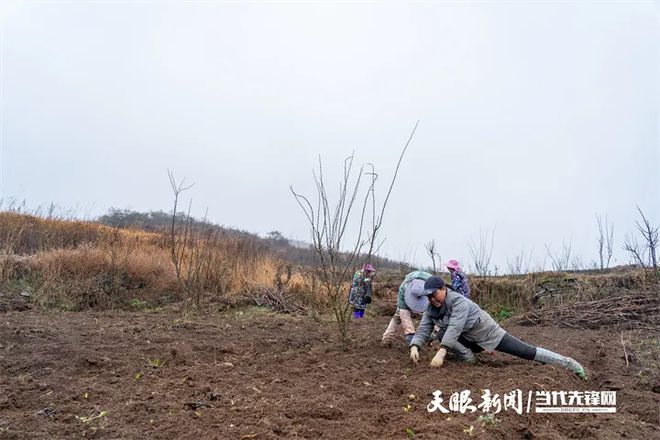 肖正强代表:从“青铜”到“王者”绿色发展一路狂飙(图2)