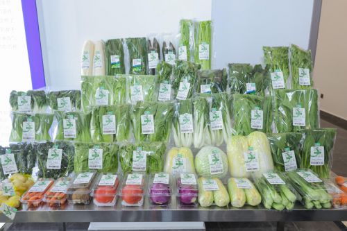 华润万家焕乡计划之百家基地建设第三站盘龙芸岭蔬菜基地正式揭幕(图4)