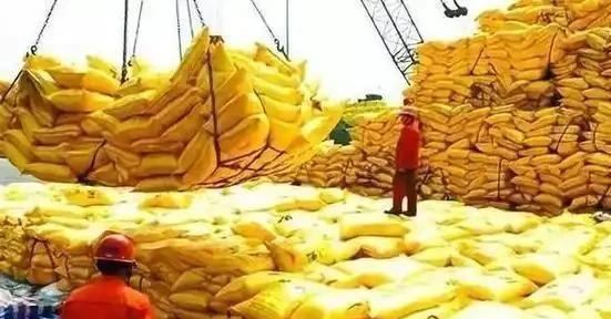 2024年中印化肥产量差距断崖：印度年产4520万吨中国是多少呢？(图12)