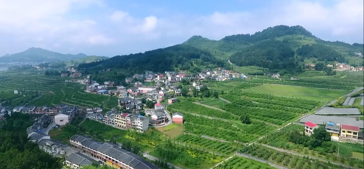 贵州仁怀：从“酒都”到县域经济典范的跃迁之路(图6)