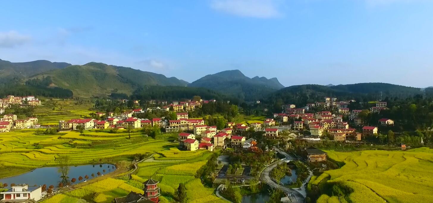 贵州仁怀：从“酒都”到县域经济典范的跃迁之路(图8)