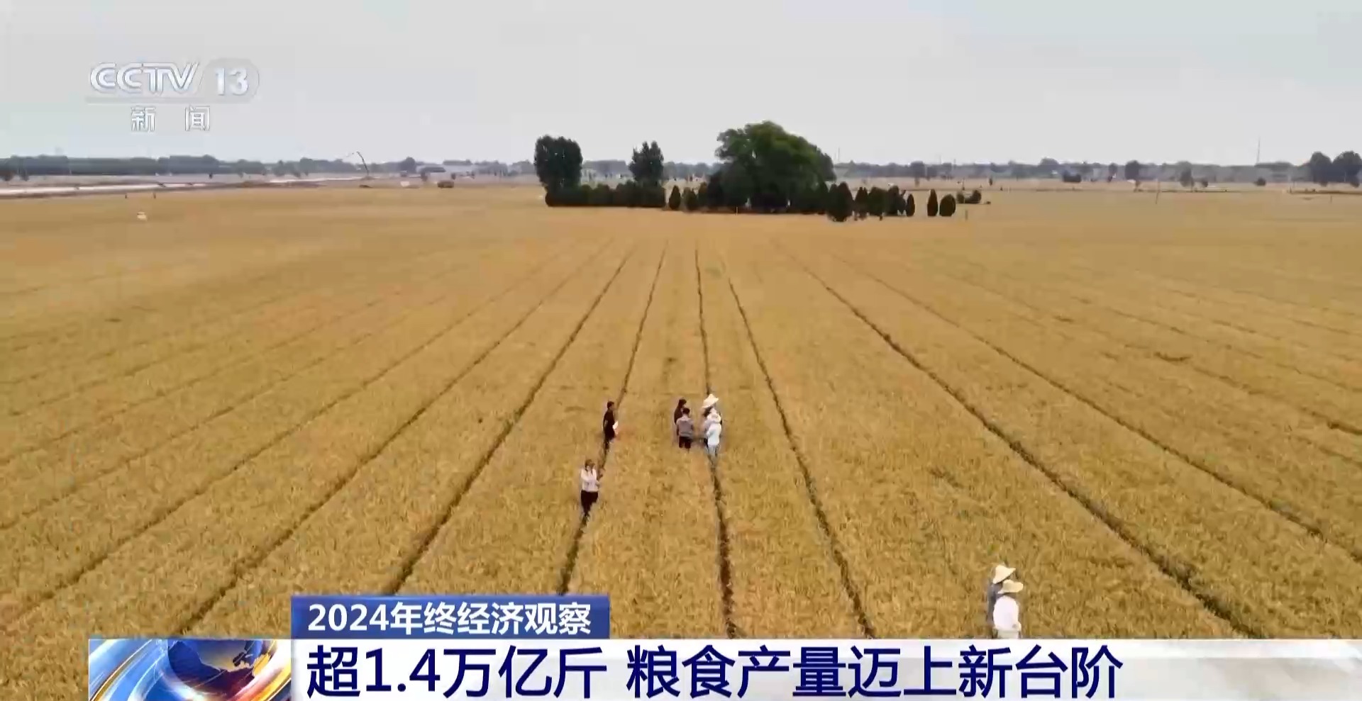 2024年终观察丨今年我国粮食产量首次突破14万亿斤(图1)