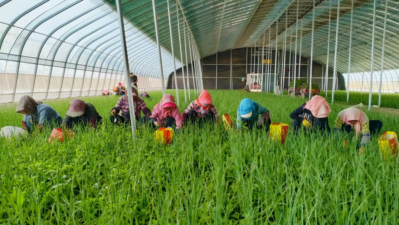 张掖市农业农村局(图2)