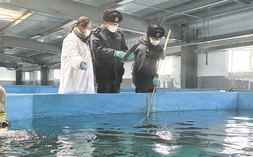 “冷凉资源”变“火热产业”(图1)