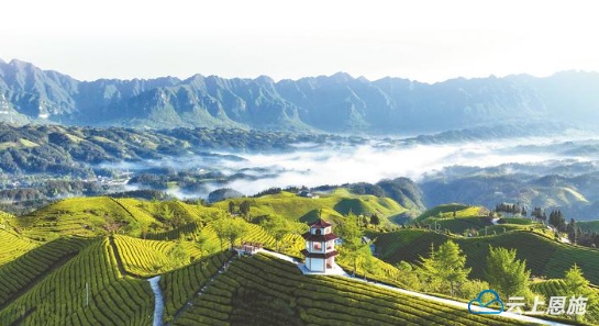 湖北日报：做好土特产文章加速恩施硒品出圈(图1)