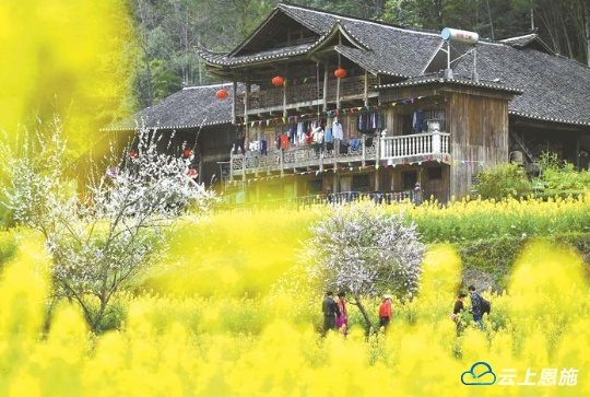 湖北日报：做好土特产文章加速恩施硒品出圈(图6)