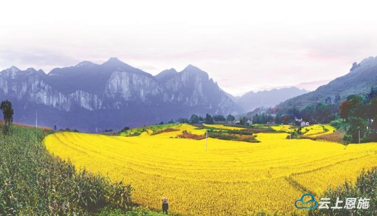 湖北日报：做好土特产文章加速恩施硒品出圈(图7)