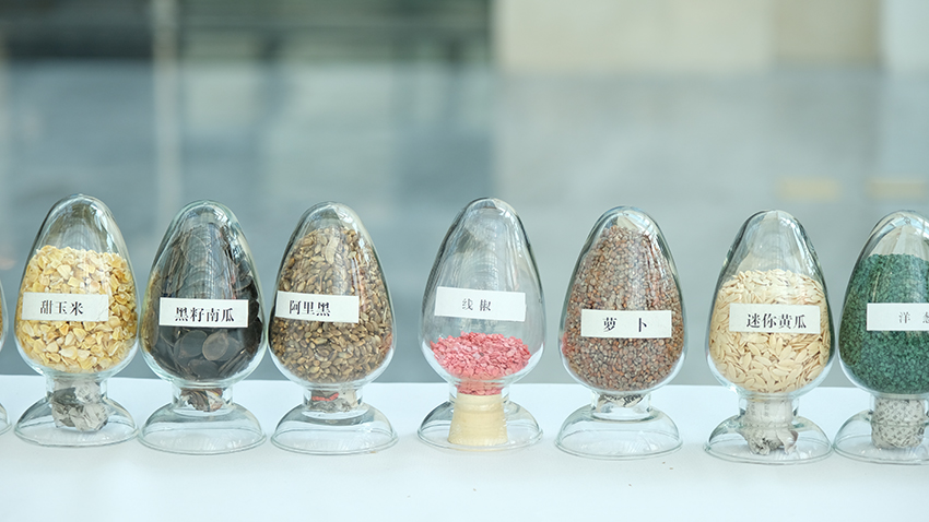 观云台这里的种子为四季“果蔬自由”撑腰(图5)