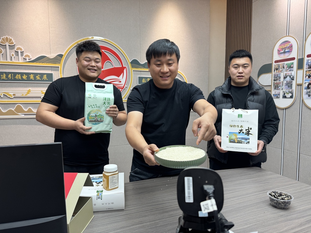 “数商兴农”点亮黑土地(图3)