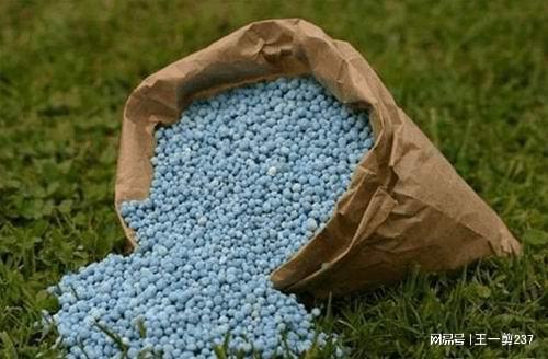 什么是有机蔬菜?有机蔬菜真有那么好吗?(图2)