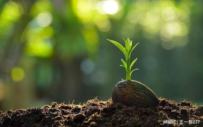 什么是有机蔬菜?有机蔬菜真有那么好吗?(图3)