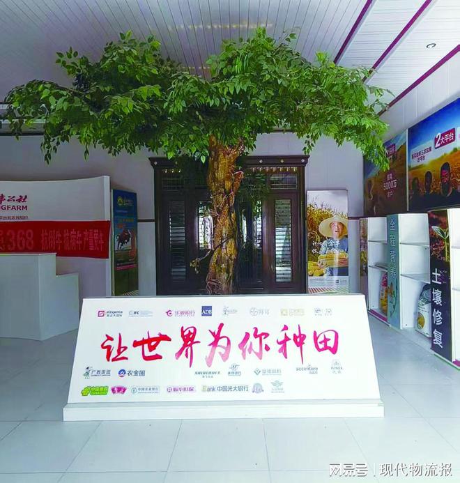 在希望的田野上绘就乡村振兴绚丽华章(图2)