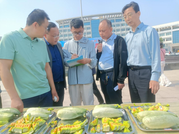 国家地标酥瓜撬动亿元产业催热“甜蜜经济”(图1)