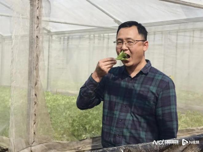 珠海金湾：“无土”种出中美两国认证的“有机蔬菜”(图6)