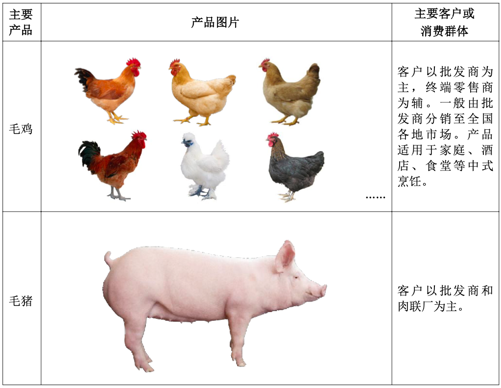 2024、2025Q1净利接连同增超2倍养殖龙头温氏股份营收首破千亿再启航丨业绩有得秀(图1)