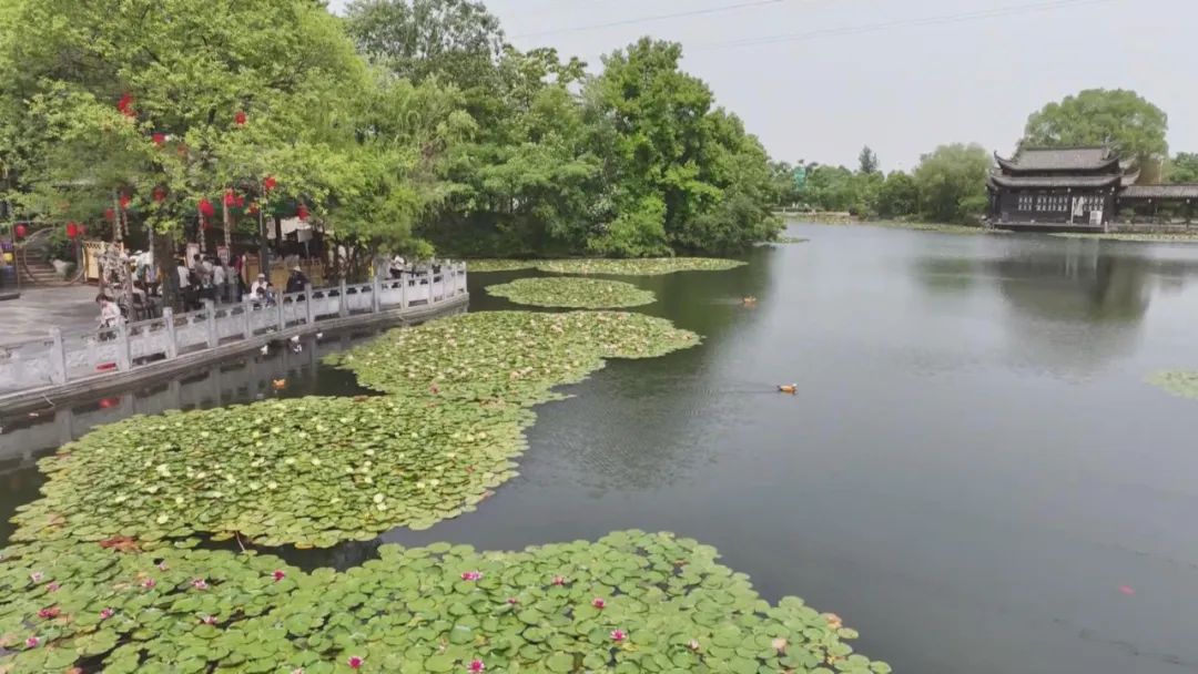 当废弃矿坑遇上康养经济小镇炼成文旅爆款(图3)