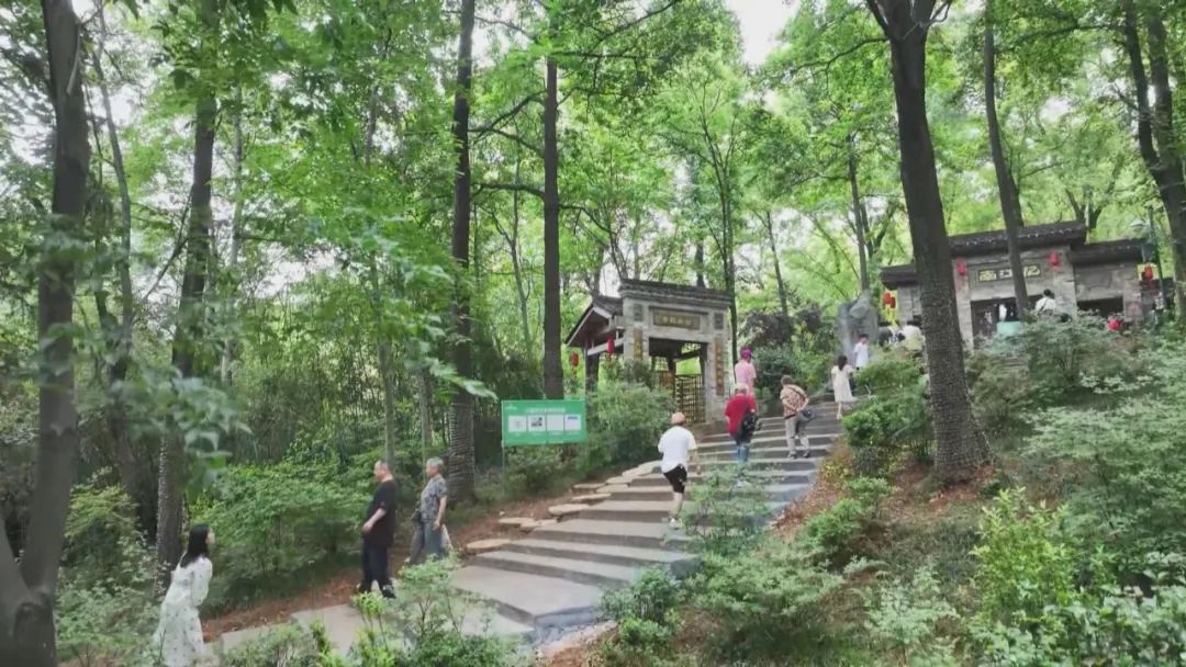当废弃矿坑遇上康养经济小镇炼成文旅爆款(图15)