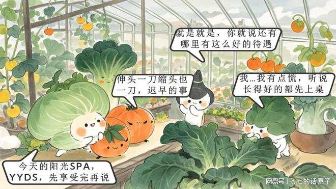 2024年蔬菜出口量对比荷兰89亿欧元中国是多少？(图2)