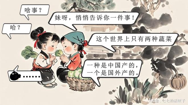 2024年蔬菜出口量对比荷兰89亿欧元中国是多少？(图5)