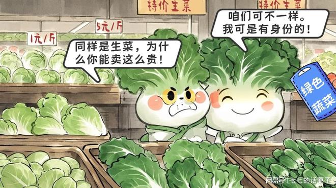 2024年蔬菜出口量对比荷兰89亿欧元中国是多少？(图7)