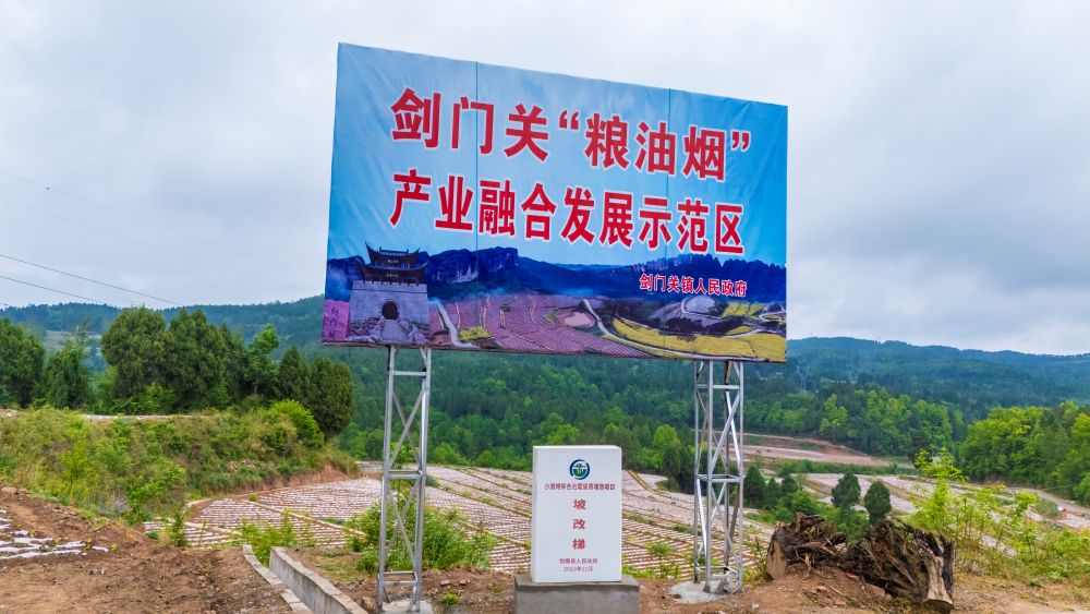 广元‌剑阁：探索油烟融合农业模式政企协作推动产业升级(图2)