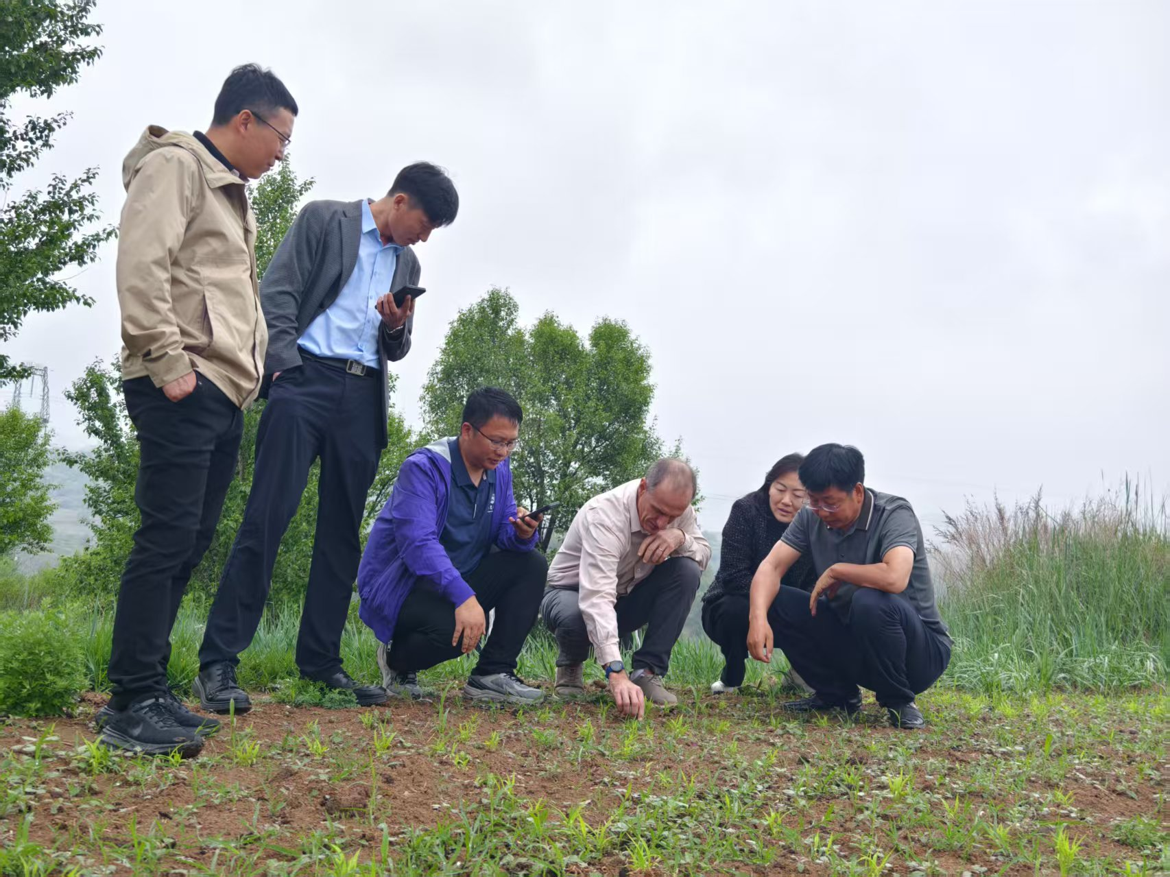中国农业大学巴西圣保罗大学联合学院有机早作研究中心落户山西灵丘(图1)