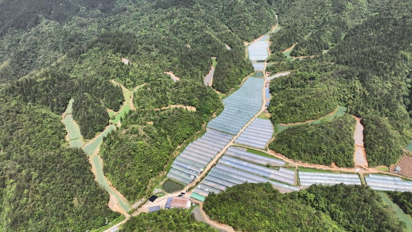 “头雁”王镇的蓝图美景(图3)